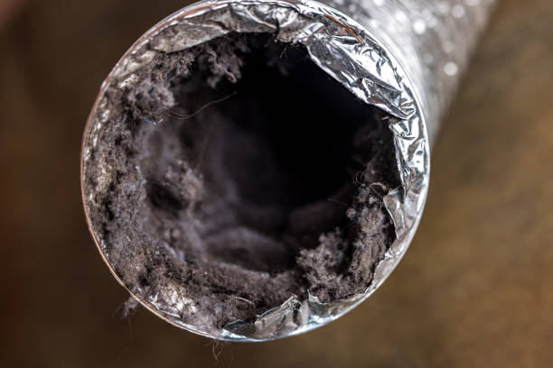 Best Affordable Air Duct Cleaning  in Stiles, PA